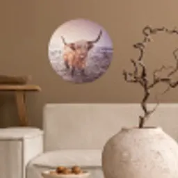 Schotse hooglanders - Licht - Lucht - Natuur Wandcirkel behangsticker klein -sfeer1