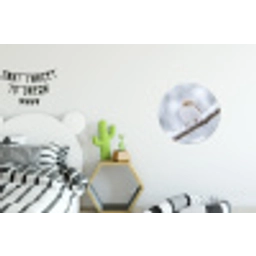Vogeltje - Sneeuw - Tak - Winter - Zacht Wandcirkel aluminium klein -kinderkamer