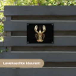 Kreeft - Goud - Textuur - Zwart tuinposter los doek klein -sfeer3