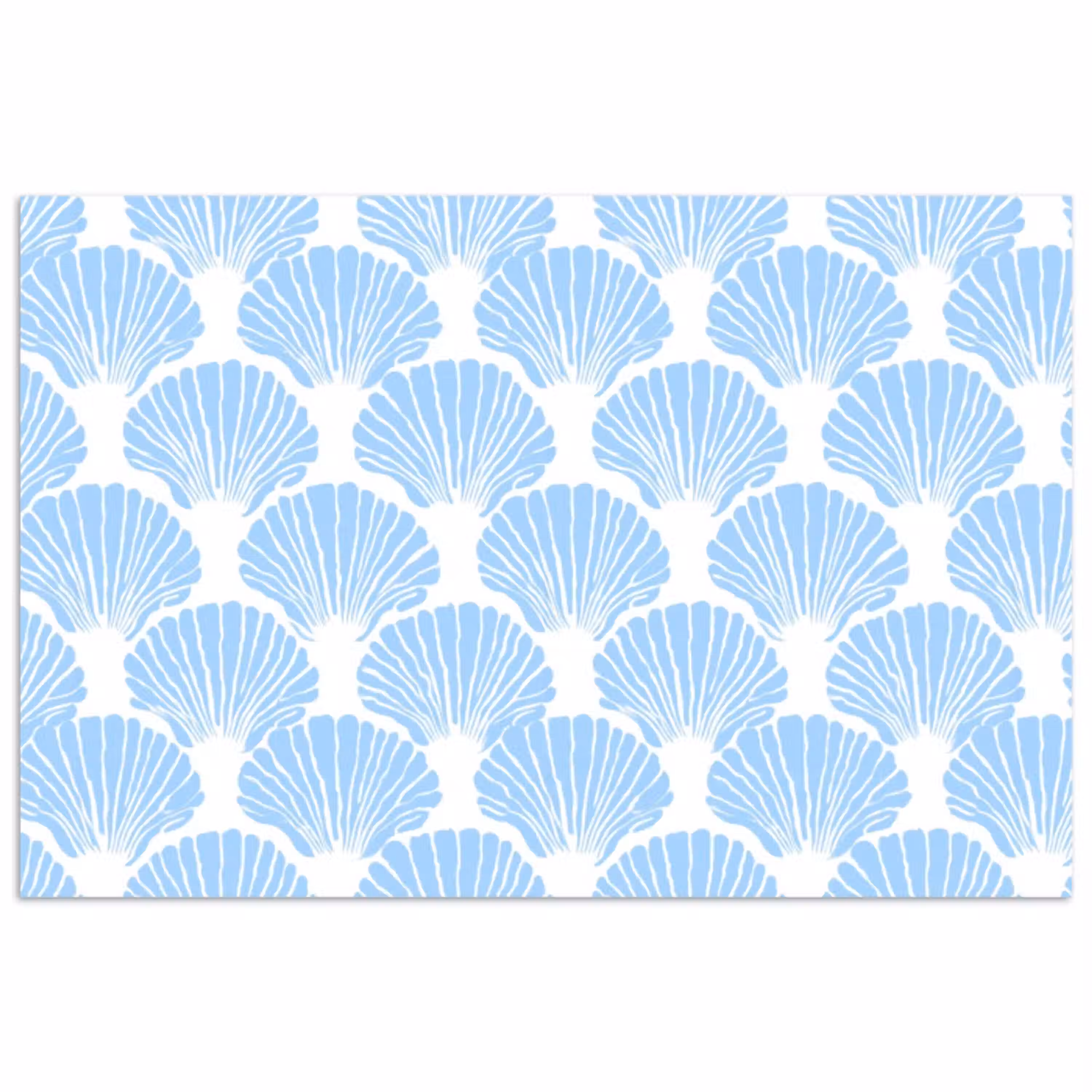 Blauw - Wit - Schelpen - Grafisch - Structuur poster papier klein 62 -3d
