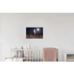 Kerkuil - Maan - Nacht Muursticker klein -kinderkamer