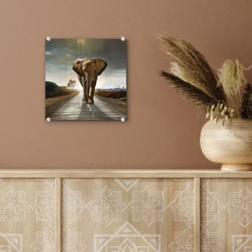 Olifant - Weg - Dieren - Zonsondergang - Landschap plexiglas 5mm klein -sfeer5