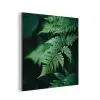 Varenblad - Groen - Structuur - Wazig aluminium wit klein -3d