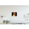 Close-up - Papegaai - Veren - Oranje textielposter latten blank klein -kinderkamer