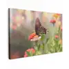 Vlinder op zomerbloem Tuinposter op houten frame 2 cm dik klein -3d