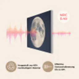 Ruimte - Maan - Kosmos PET vilt klein -USP_DE
