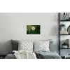 Narcis - Bloem - Wit - Grassprieten Muursticker klein -slaapkamer