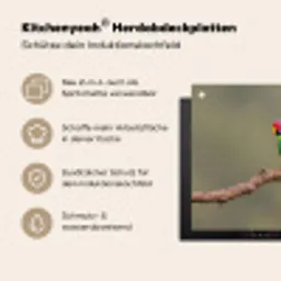Papagaai - Tak - Natuur - Kleurrijk Inductie beschemer met haakjes klein -ky-usp-de