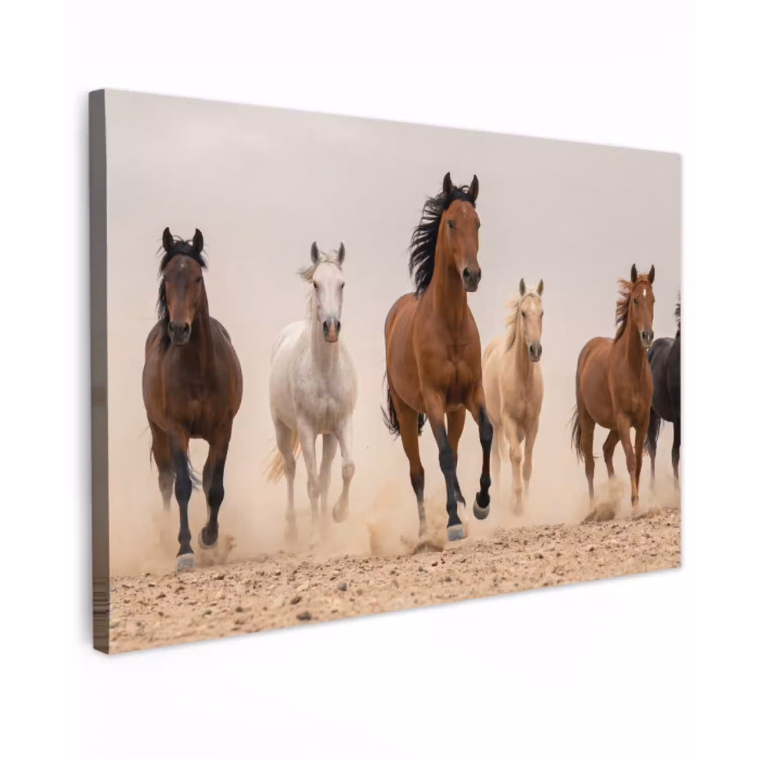 Kudde paarden - Stofwolk - Bruin - Zwart canvas 2cm klein -z3d