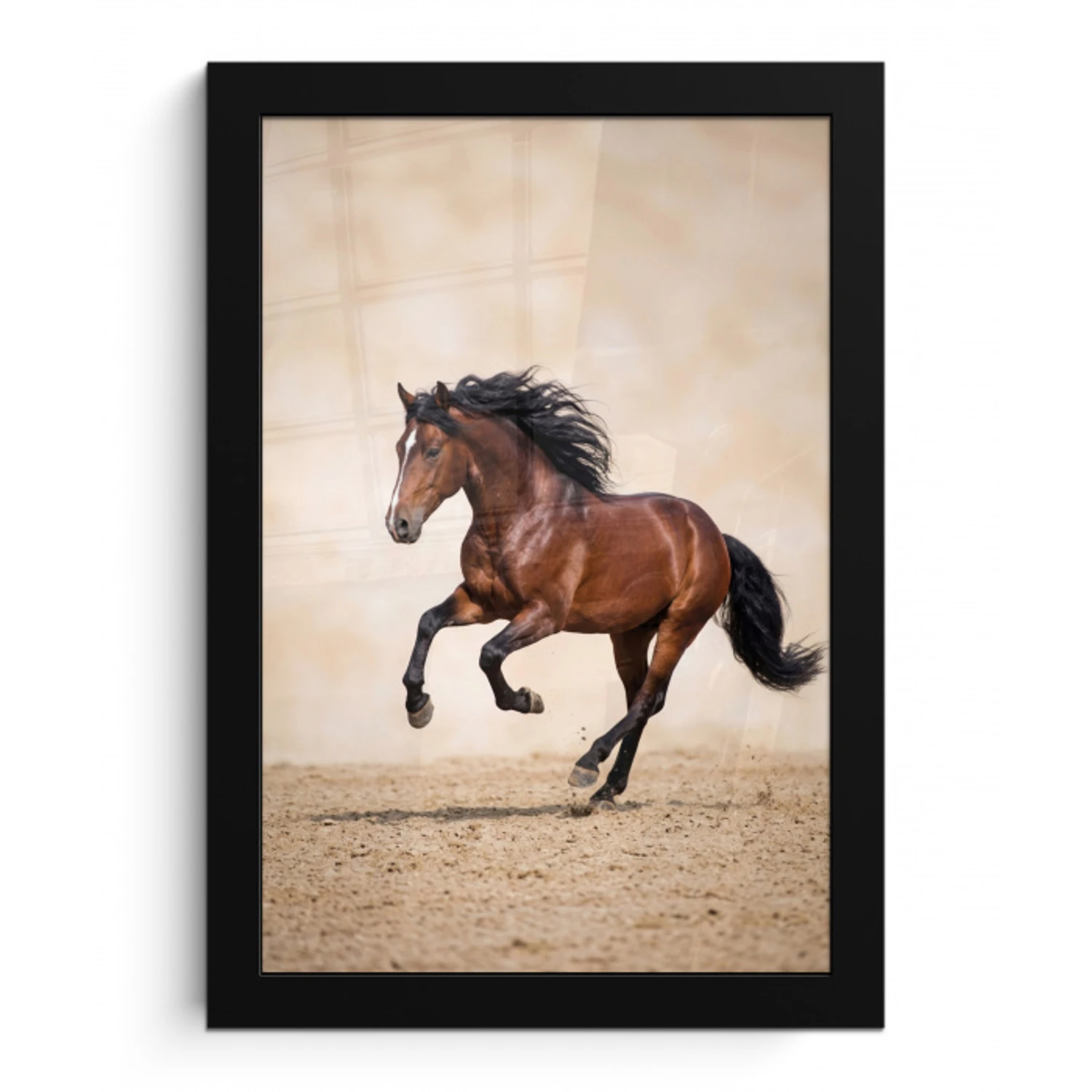 Paard - Galop - Energie fotolijst zwart zonder passe partout klein -3d