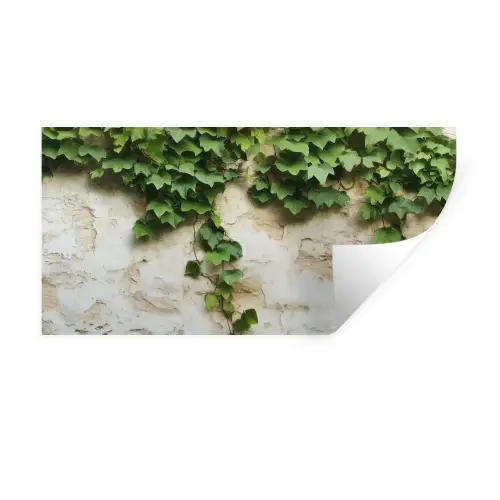 Klimop - Muur - Groen Muursticker klein -3d