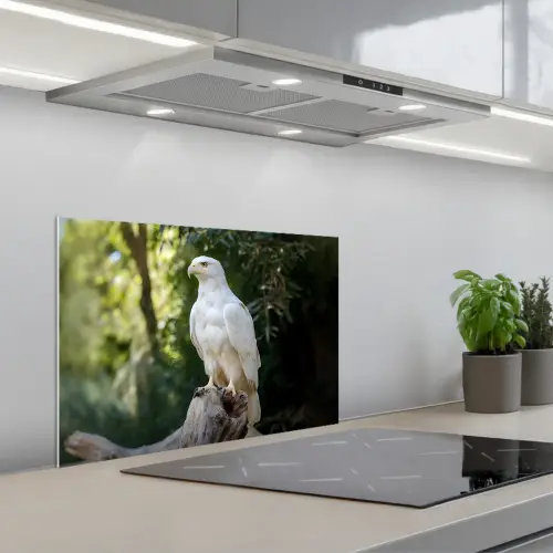 Arend - Hout - Wit - Planten keuken achterwand spatscherm klein -3d_schuin