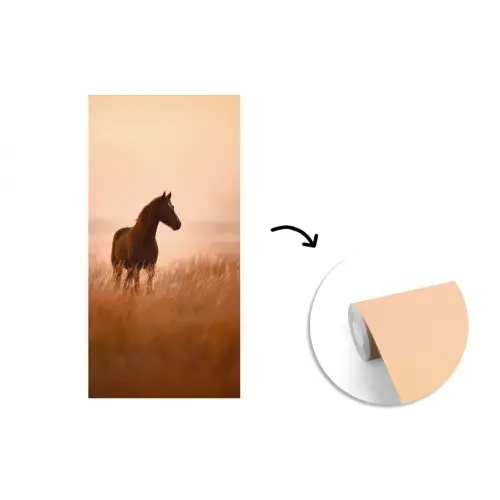 Paard - Grasveld - Zonsondergang fotobehang vinyl groot -3d