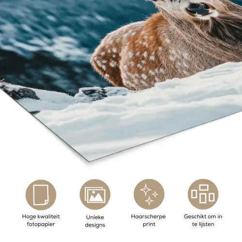 Hert - Landschap - Winter - Natuur - Dieren - Bergen poster papier klein -closeup_NL