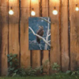 Vogel - Tak - Roofvogel tuinposter los doek klein -sfeer1