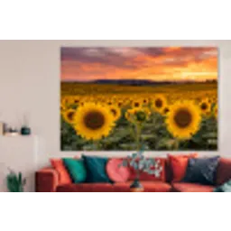 Zonnebloemen - Heuvellandschap - Geel forex 5mm xxl -woonkamer