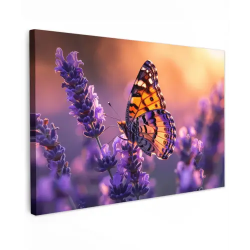 Vlinder op lavendel bij zonsondergang Tuinposter op houten frame 2 cm dik klein -3d