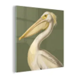 Pelikaan - Wit - Vogel - Klassiek - Natuur plexiglas 5mm klein -z3d