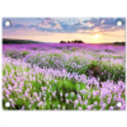 Lavendelvelden bij zonsondergang tuinposter los doek klein -3d