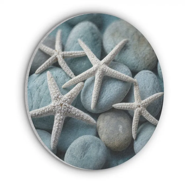 Zeesterren - Stenen - Wit Akoestische PET Vilt - Rond klein -3d