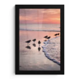 Meeuwen - Strand - Zee - Roze fotolijst zwart zonder passe partout klein -3d