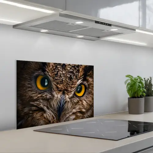Uil - Dier - Oranje keuken achterwand spatscherm klein -3d_schuin