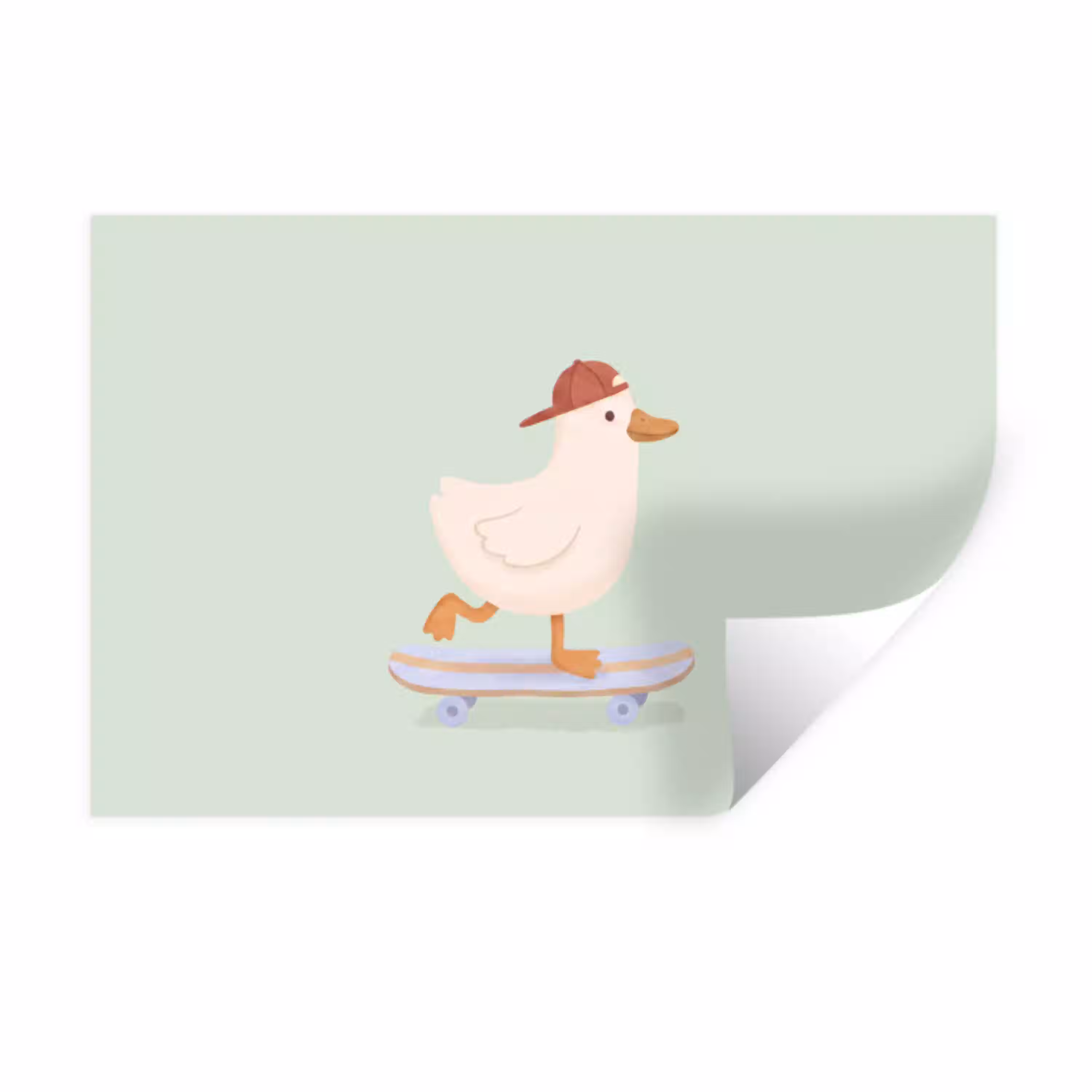 Vogel - Skateboard - Dieren - Cartoon - Speels Muursticker klein -3d