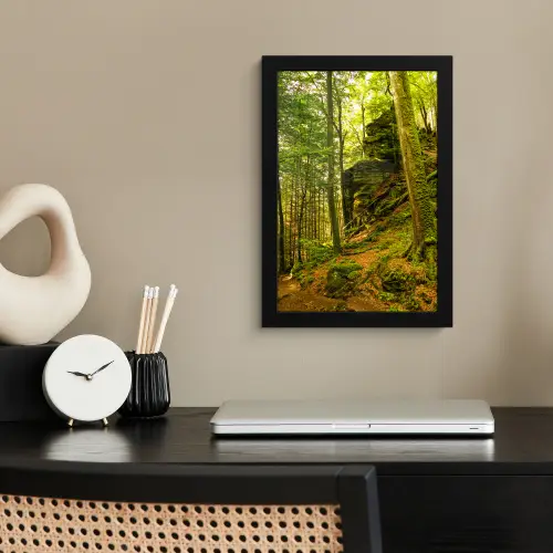 Bomen - Steen - Bos - Natuur - Planten fotolijst zwart zonder passe partout klein -sfeer1