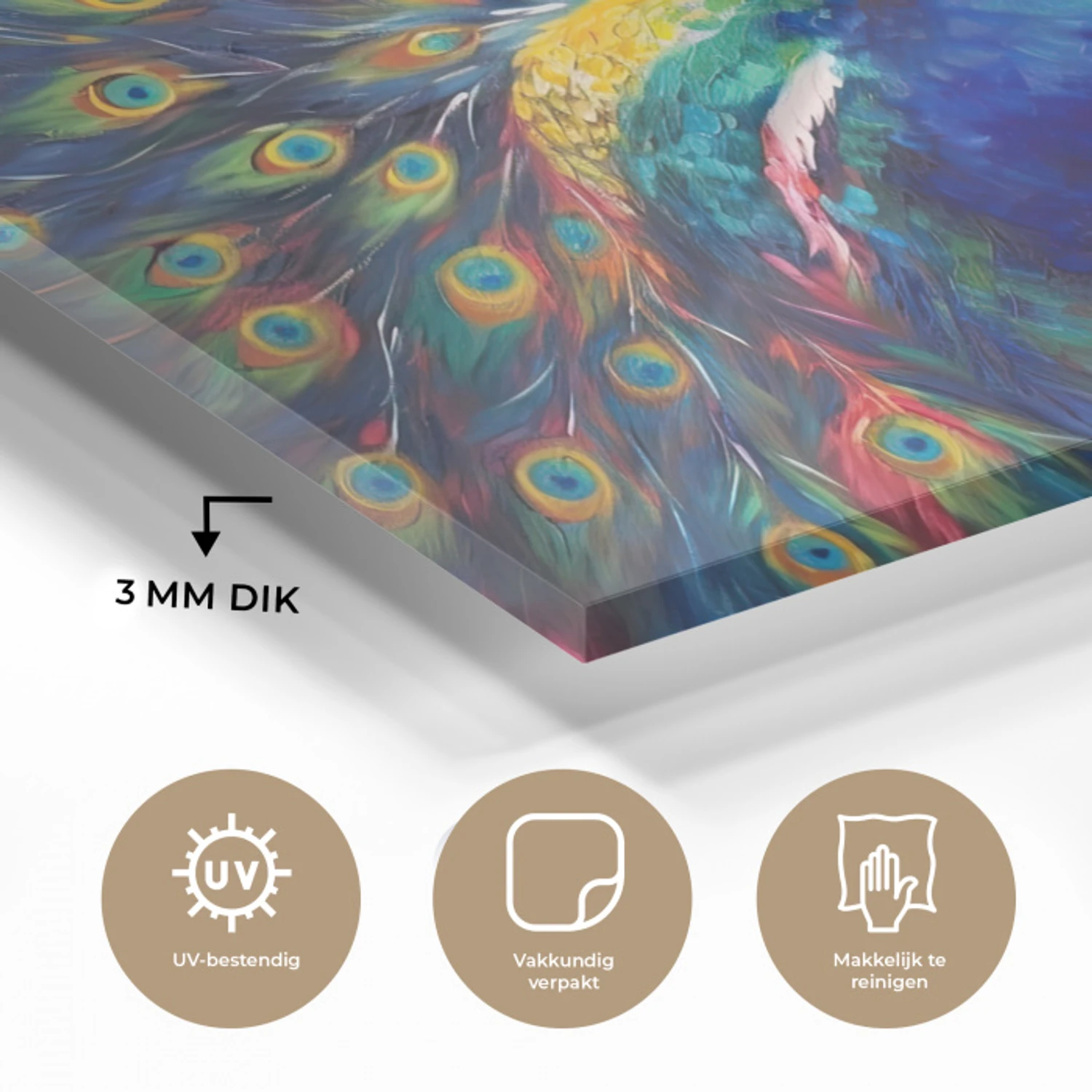 Glas schilderij - Pauw - Dieren - Schilderij - Regenboog