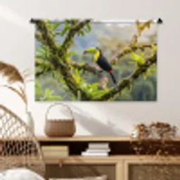 Toekan - Jungle - Natuur - Kleurrijk Wandkleed katoen middel -sfeer5