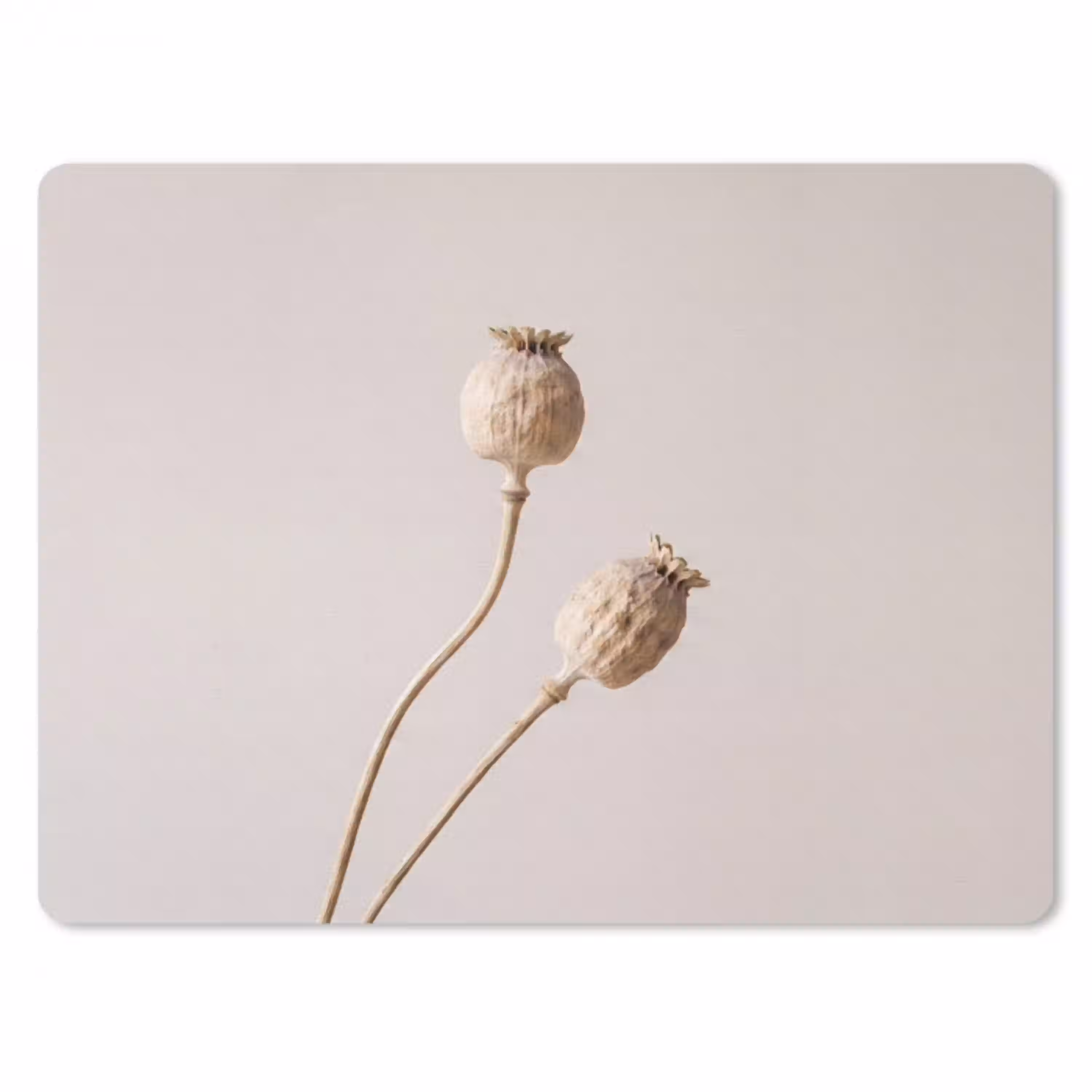 Papaverbollen - Droogbloemen - Minimalistisch - Beige - Rustig muismat rubber klein -3d