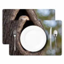 Kerkuil - Boom - Natuur - Bruin Placemat vinyl groot -zzsfeer2_Kitchenyeah-website