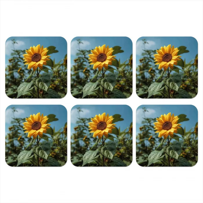 Zonnebloemen - Helderblauwer lucht - Gras onderzetter kurk middel -3d
