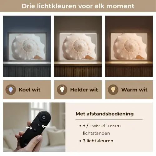 Schelp - Detail - Beige Light Box met batterij (Wandlamp) middel -USP_lichtkleurNL