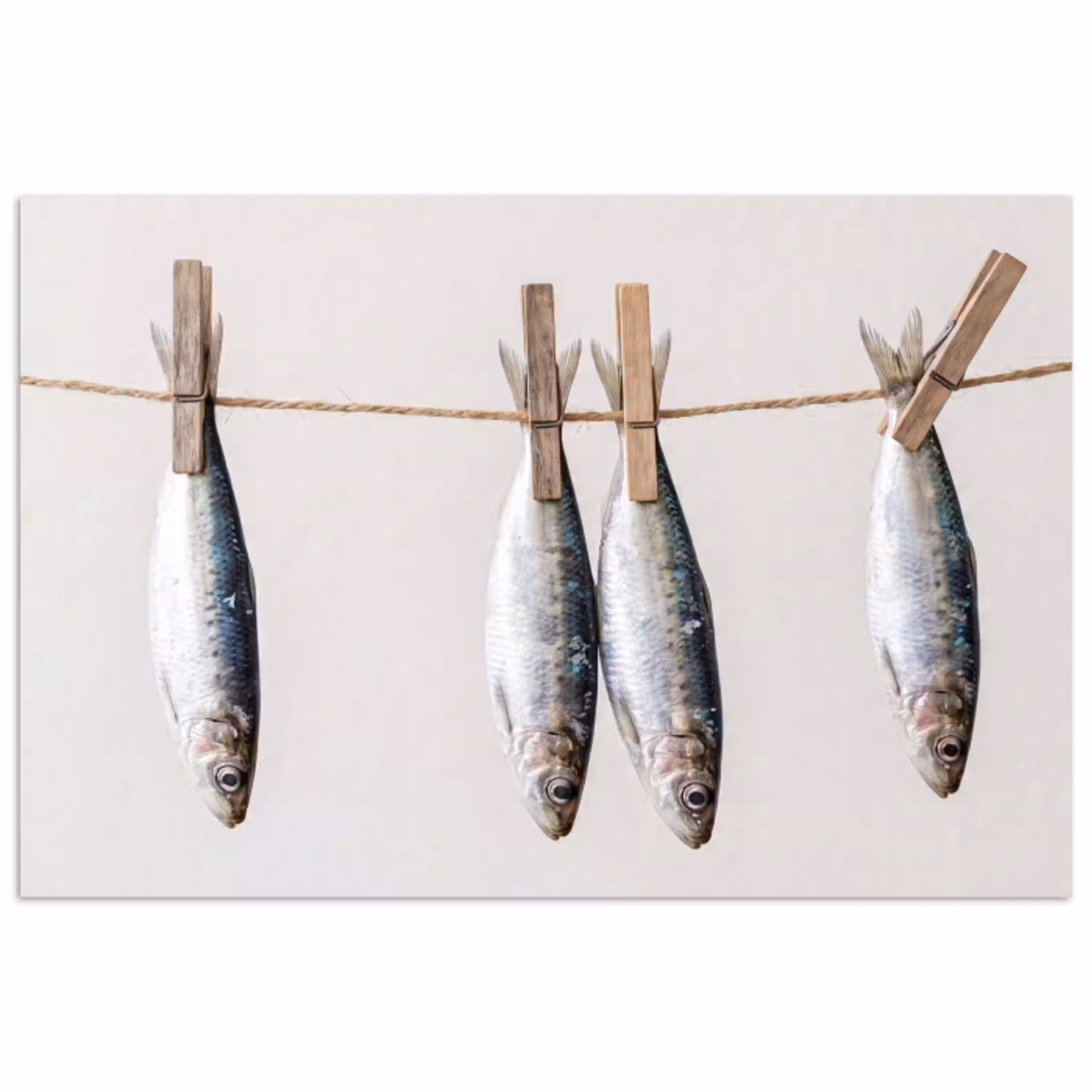 Vis - Hangend - Eten poster papier klein -3d