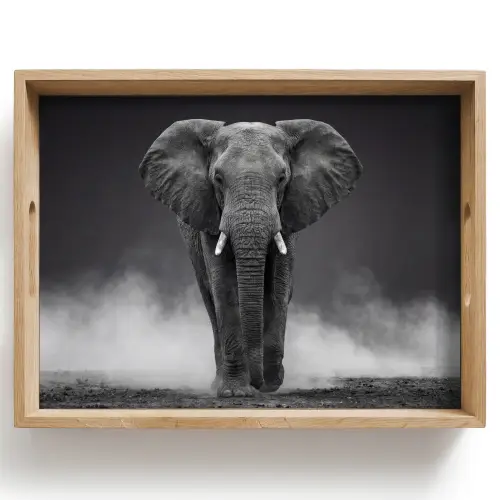Olifant - Zwart - Wit - Rook Dienblad Rechthoek middel -z3d_shopping