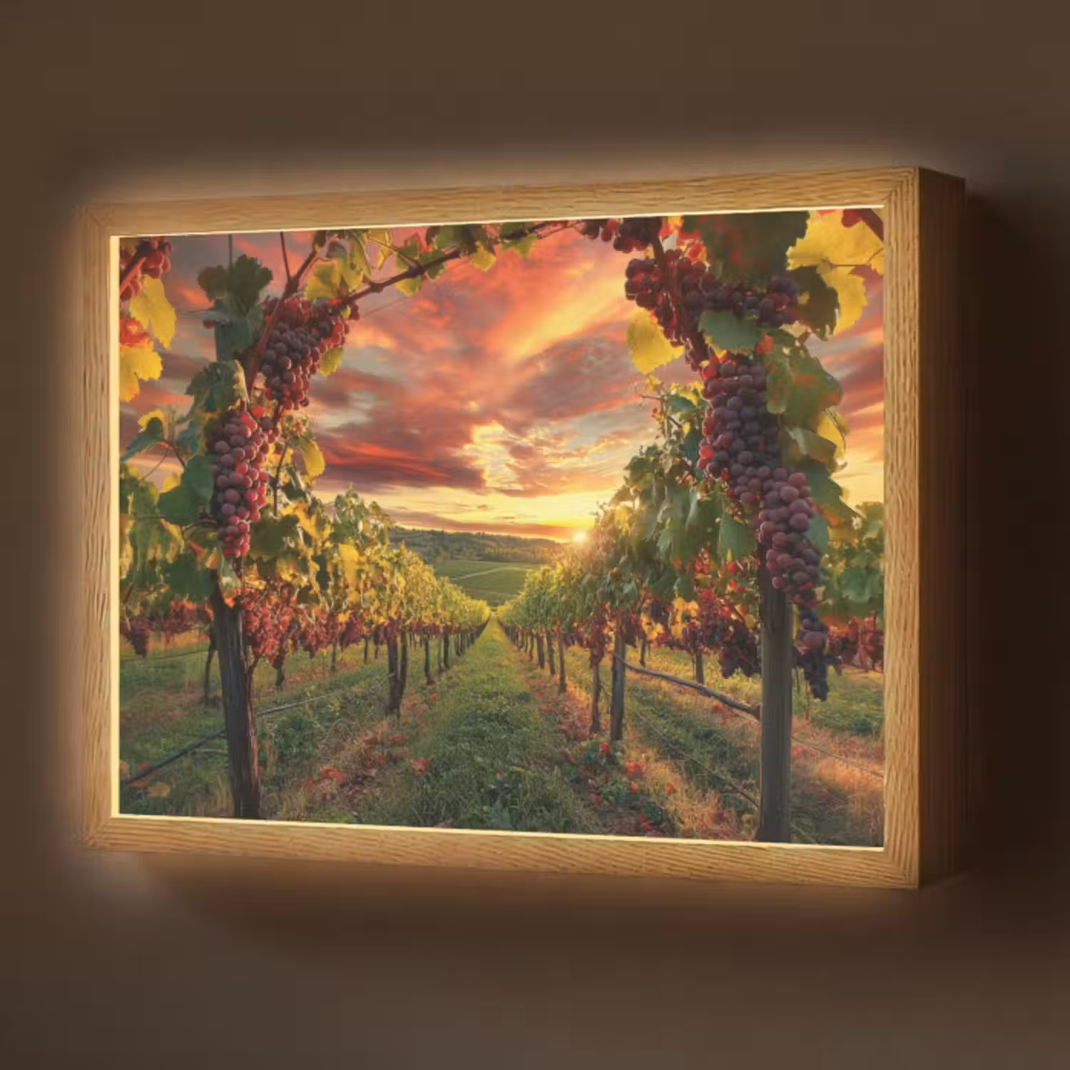 Lightbox - Wandlamp - Wijngaard - Druiven - Zonsondergang