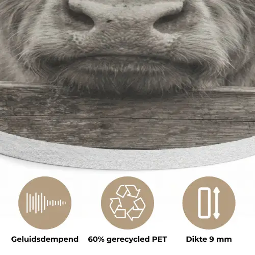 Schotse hooglander - Zwart - Wit - Hout Akoestische PET Vilt - Rond klein -closeup_NL