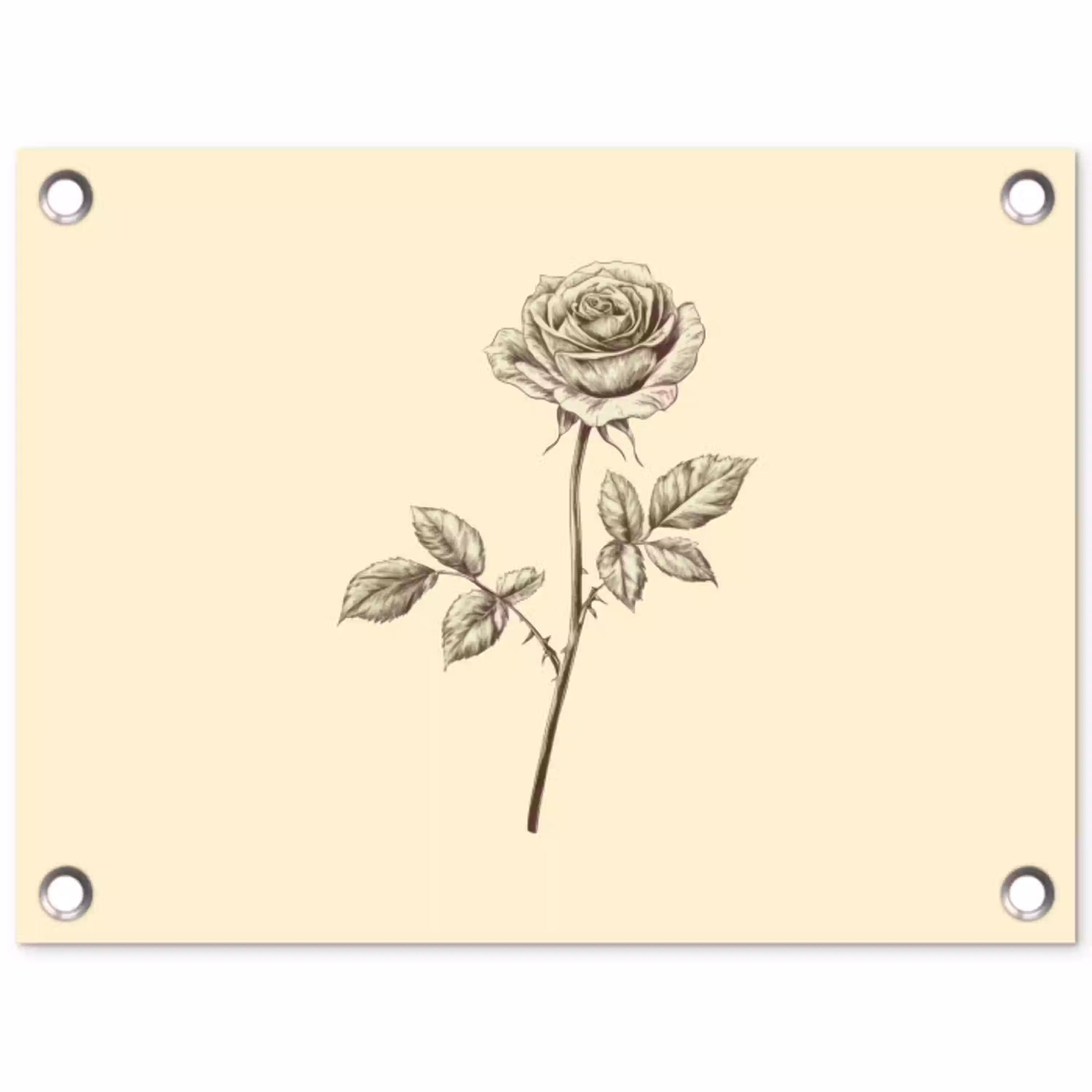 Illustratie - Zwart - Roos tuinposter los doek klein -3d