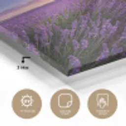 Lavendel - Veld - Natuur - Paars plexiglas 5mm klein -sfeer2