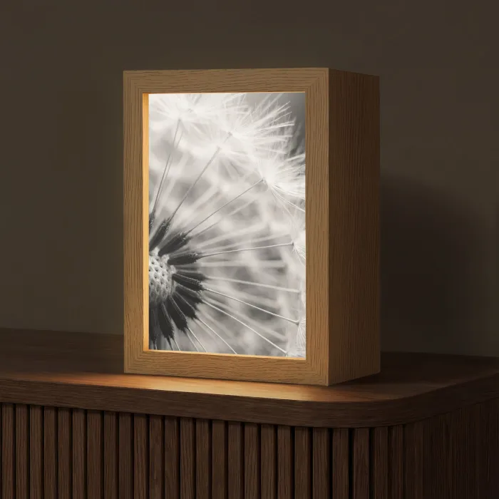 Paardenbloem - Zwart - Wit Light Box met kabel (Tafellamp) klein -z3d_website