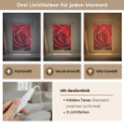 Rood - Roos - Romantisch Light Box met kabel (Tafellamp) klein -USP_lichtkleurDE