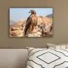 Valk - Vogel - Rots - Macht canvas 2cm klein -sfeer3