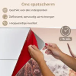 Schotse Hooglanders - Sneeuw - Zon keuken achterwand spatscherm klein -spatscherm_NL