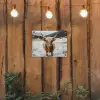 Schotse Hooglander - Sneeuw - Winter - Dieren tuinposter los doek klein -sfeer1