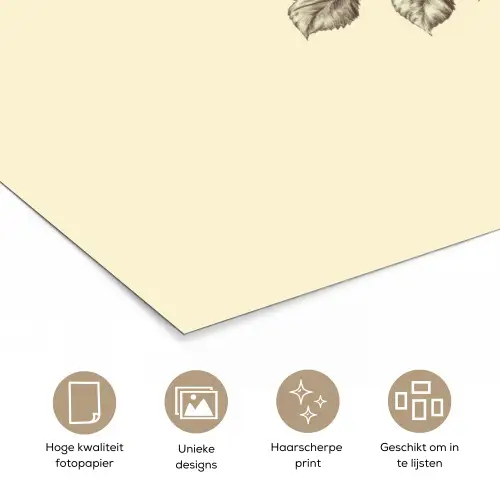 Illustratie - Zwart - Roos poster papier klein -closeup_NL