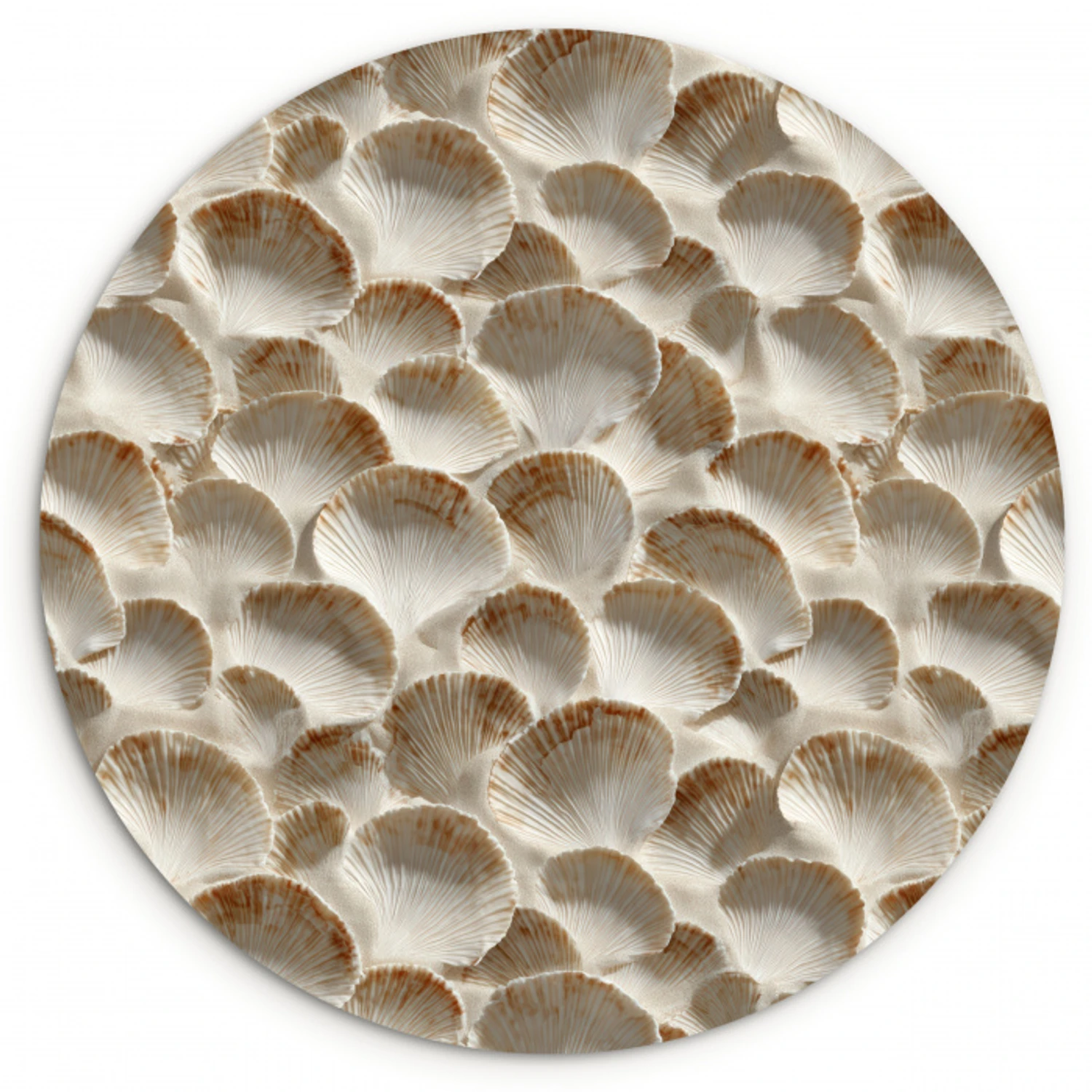 Schelpen - Waaiervorm - Wit Wandcirkel kunststof plaat 5mm dik klein 188 -3d
