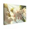 Bloesems - Wit - Zonnestralen -  Bloemblaadjes Tuinposter op houten frame 2 cm dik klein -3d