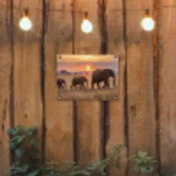 Olifanten - Savanne - Zonsondergang - Afrika - Warm tuinposter los doek klein -sfeer1