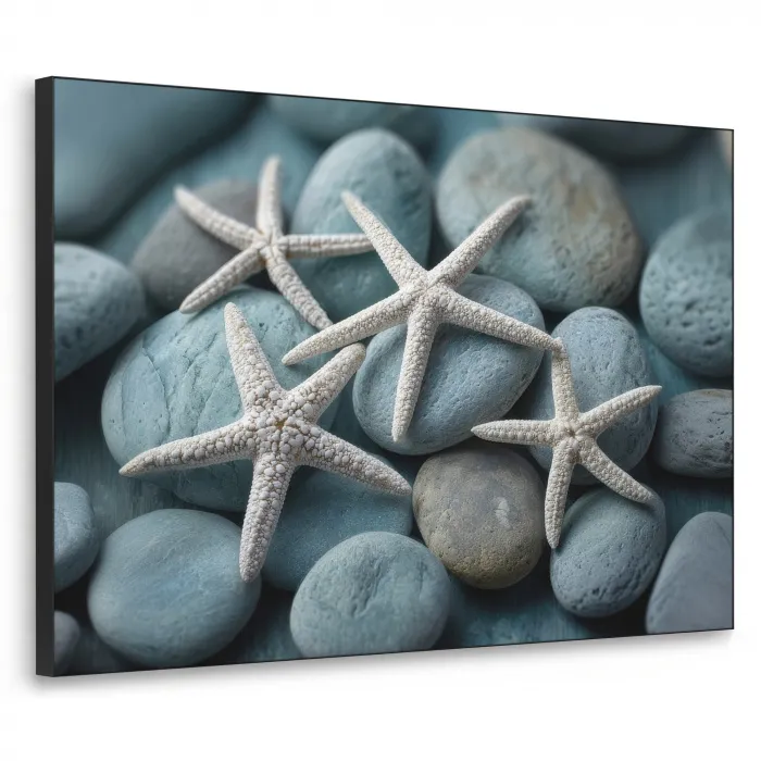 Zeesterren - Stenen - Wit Textielframe zwart klein -3d